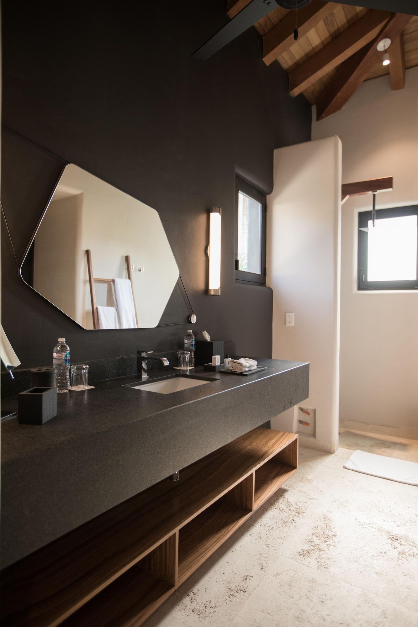 Suite, vista a la laguna (Plunge Pool)