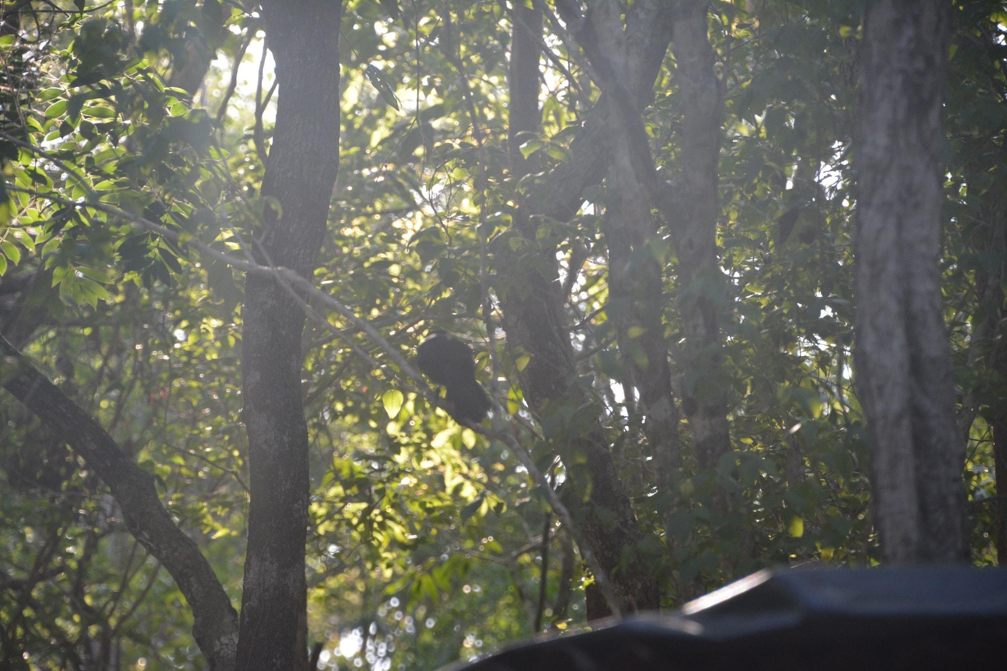 Glamping Mayan Glam 6