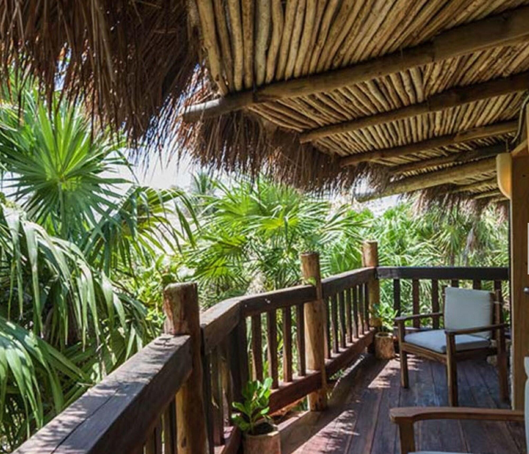 RT Suite Tree House GV