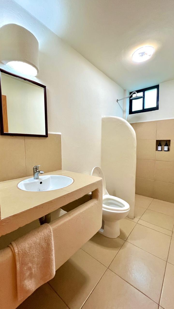 Habitación Doble Estándar con Vista a la Selva