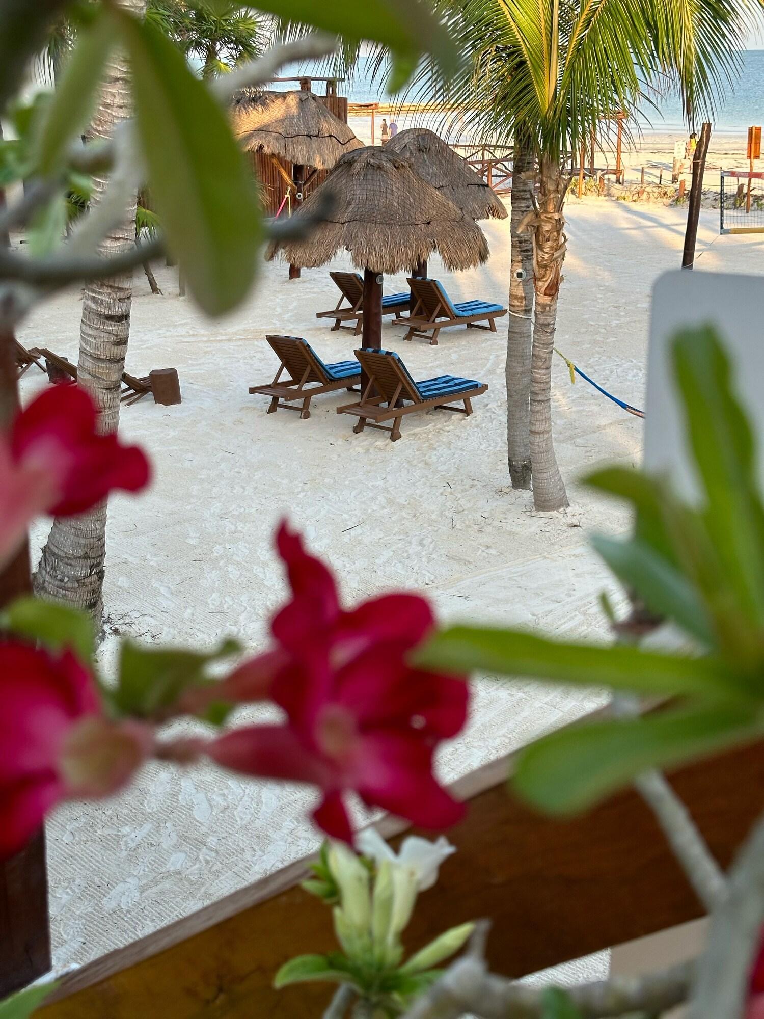 image-housing-carousel