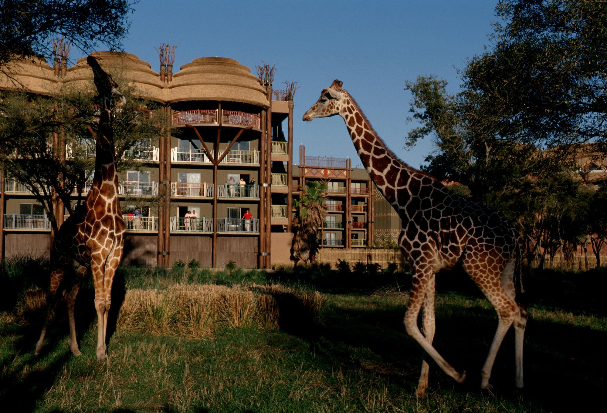 image-housing-carousel