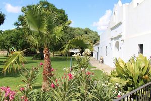 Alojamiento - Cortijo el Indiviso