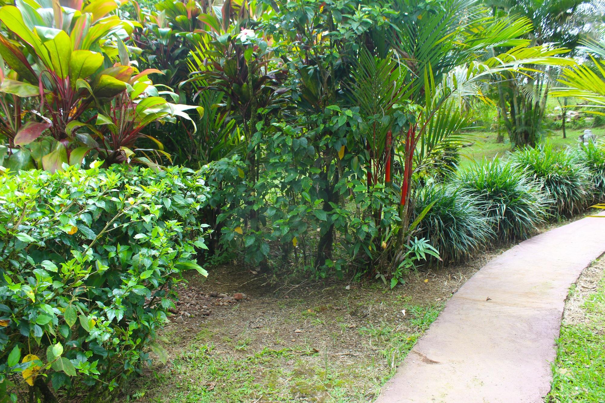 Spa Posada Río Celeste La Amistad