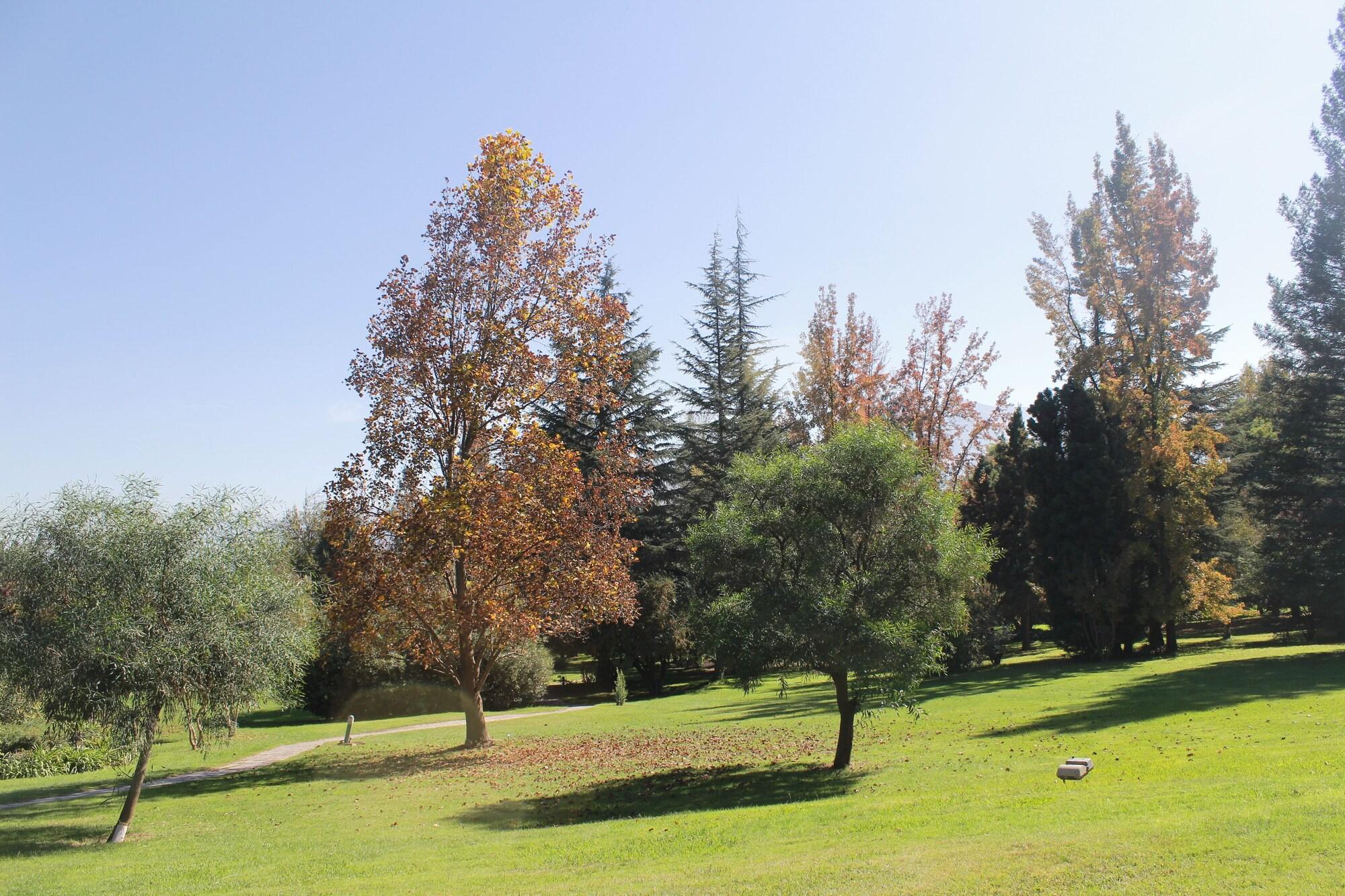 Vista Exterior Hotel y Cabañas Palomar - Caja los Andes