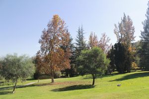Alojamiento - Hotel y Cabañas Palomar - Caja los Andes