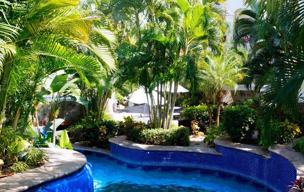 Descubre las paradisíacas playas de Manzanillo