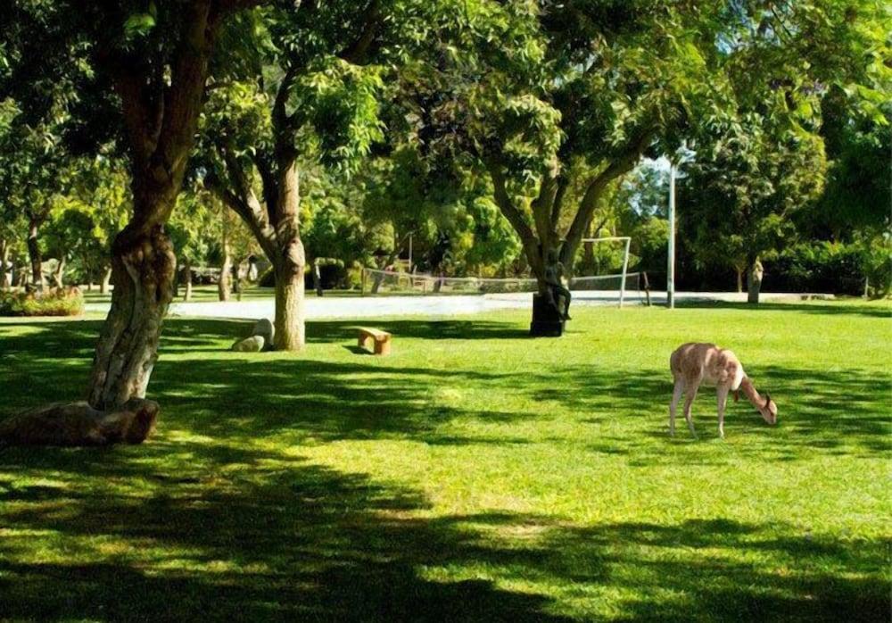 Instalaciones Recreativas Hacienda Majoro Boutique & Resort
