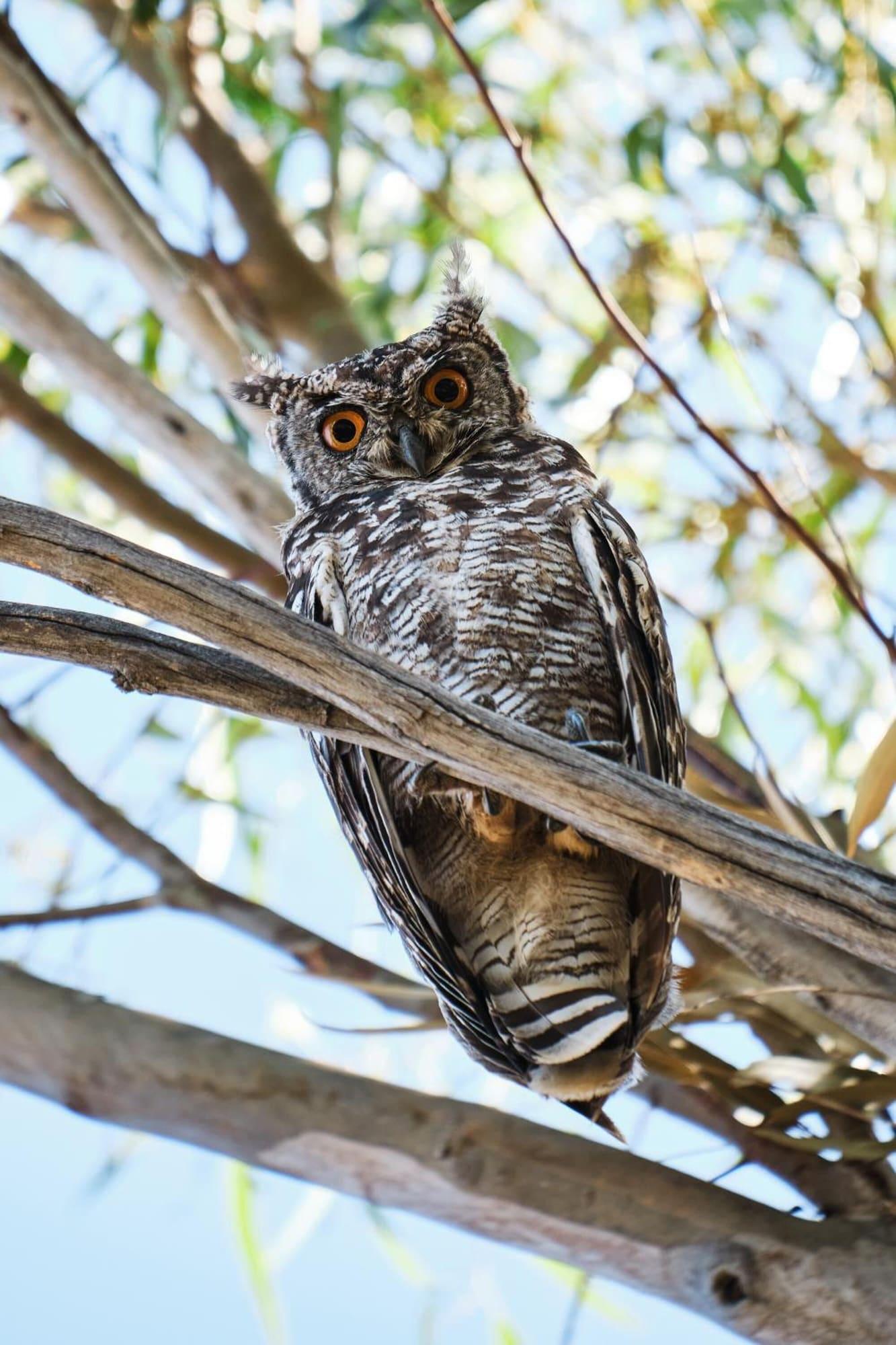 Vista Exterior Rijks Wine Estate and Hotel - Adults Only