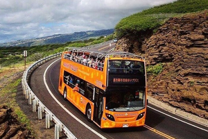 Actividad - Honolulu: Excursión panorámica en autobús por Waikiki