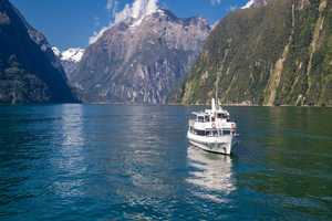 Actividad - Descubre Milford Sound desde Queenstown hasta Te Anau con almuerzo - Excursión de día completo