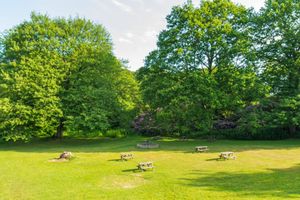 Alojamiento - Adamton Country House Hotel