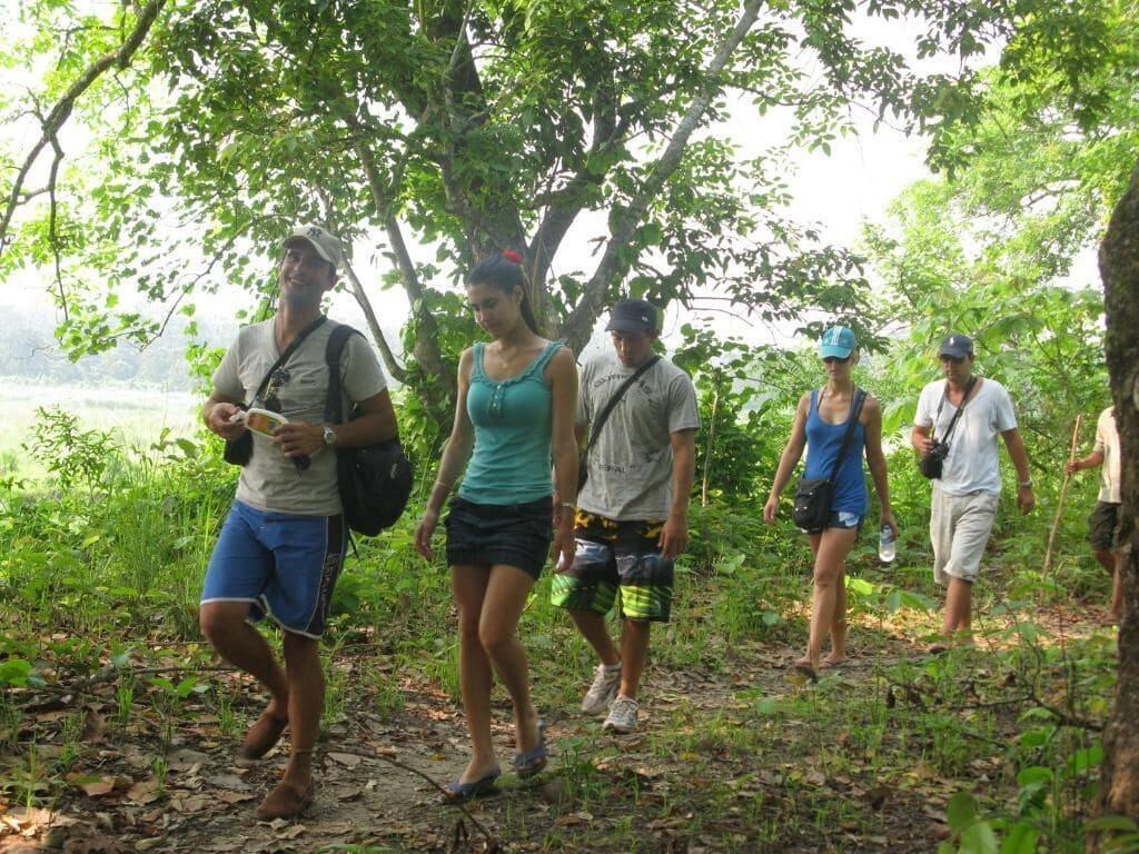 Gimnasio Rhino Land Jungle Lodge