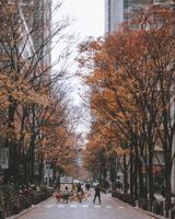 Alojamiento - Shangri-La Tokyo