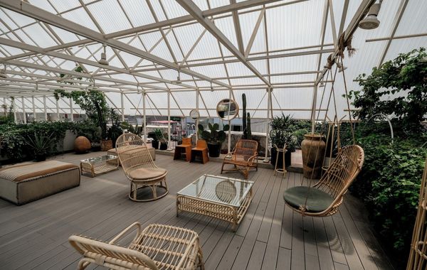 Guest Rooms Jardin Prim - Hoteles cerca de Arena México en Ciudad de México