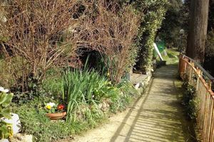 Alojamiento - B&B Il Cedro