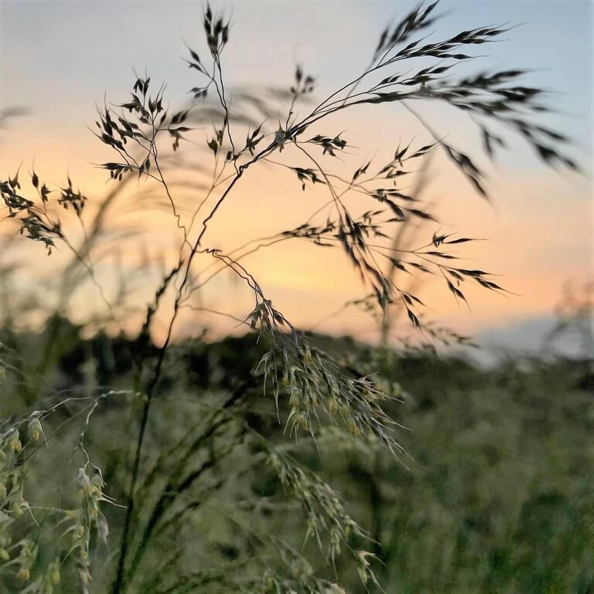 Varios Agriturismo Gocce di Luna