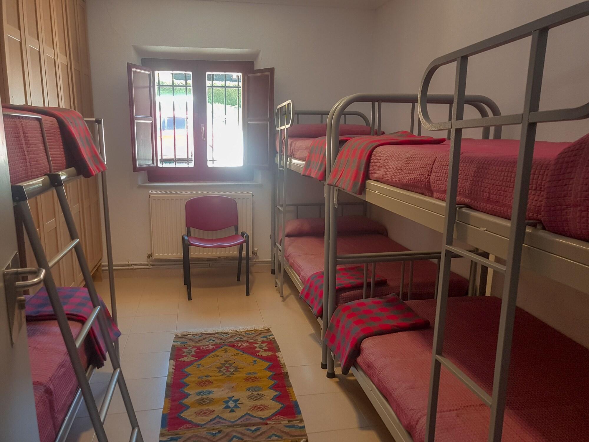 Habitación Hostel El Oso Pardo