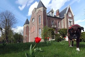 Alojamiento - Les Tourelles de Thun