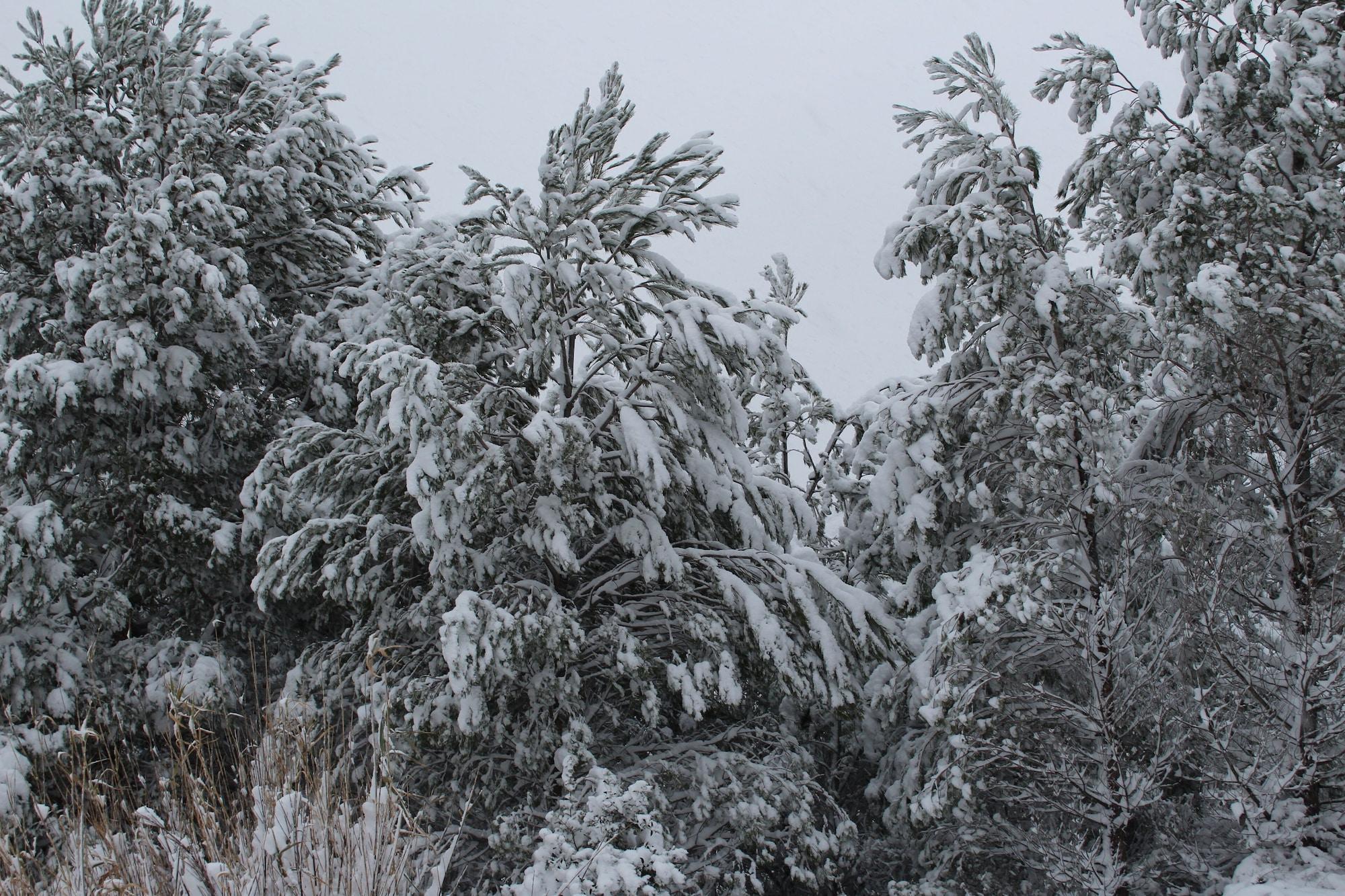 Instalaciones Recreativas Ca L'angels