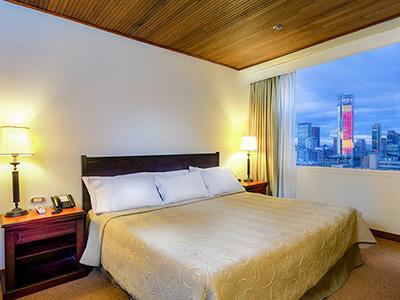 Hotel Hotel Dann Avenida 19