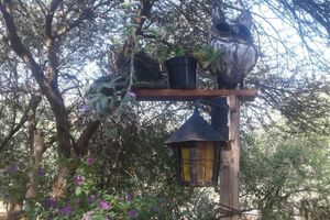 Alojamiento - Stwalo's Place