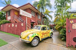 Alojamiento - Travellers Oasis - Hostel