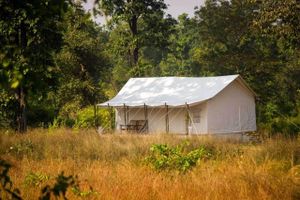 Alojamiento - Umaria Safari Camp -Kanha National Park