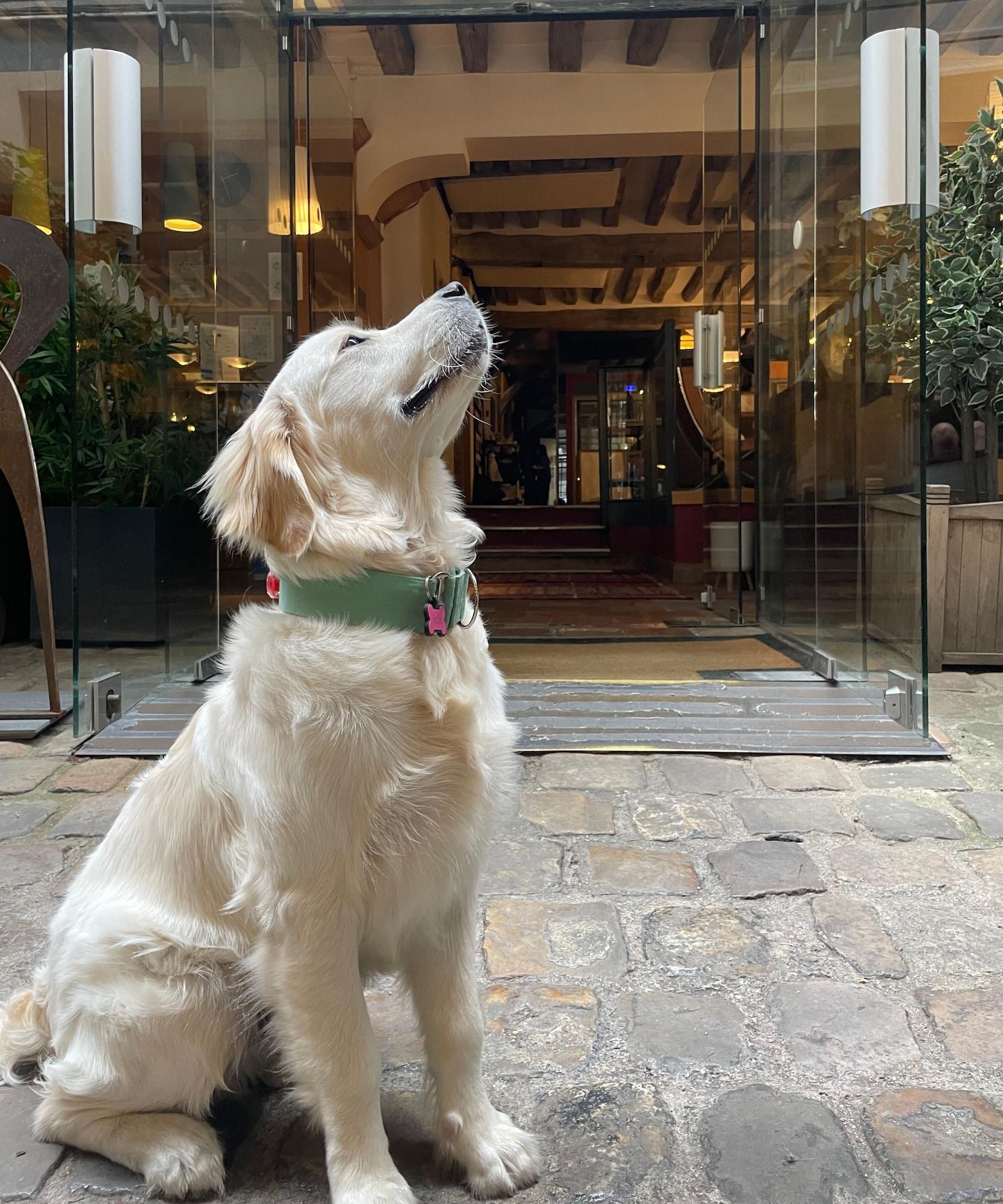 Vista Lobby Hotel du Jeu de Paume