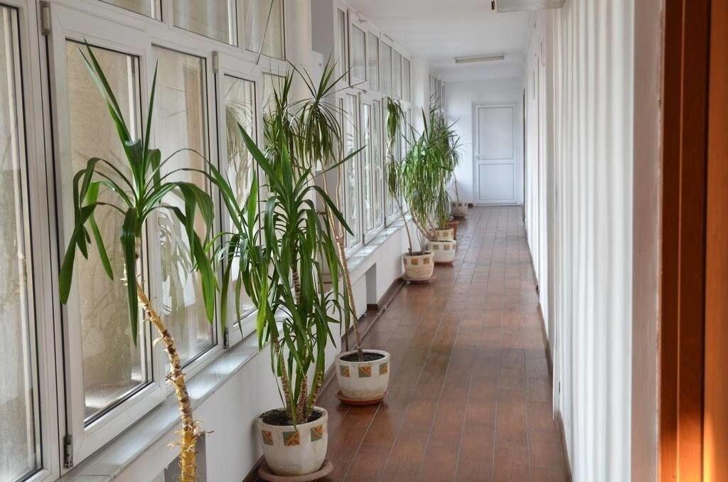 Vista Lobby Hotel Gorj