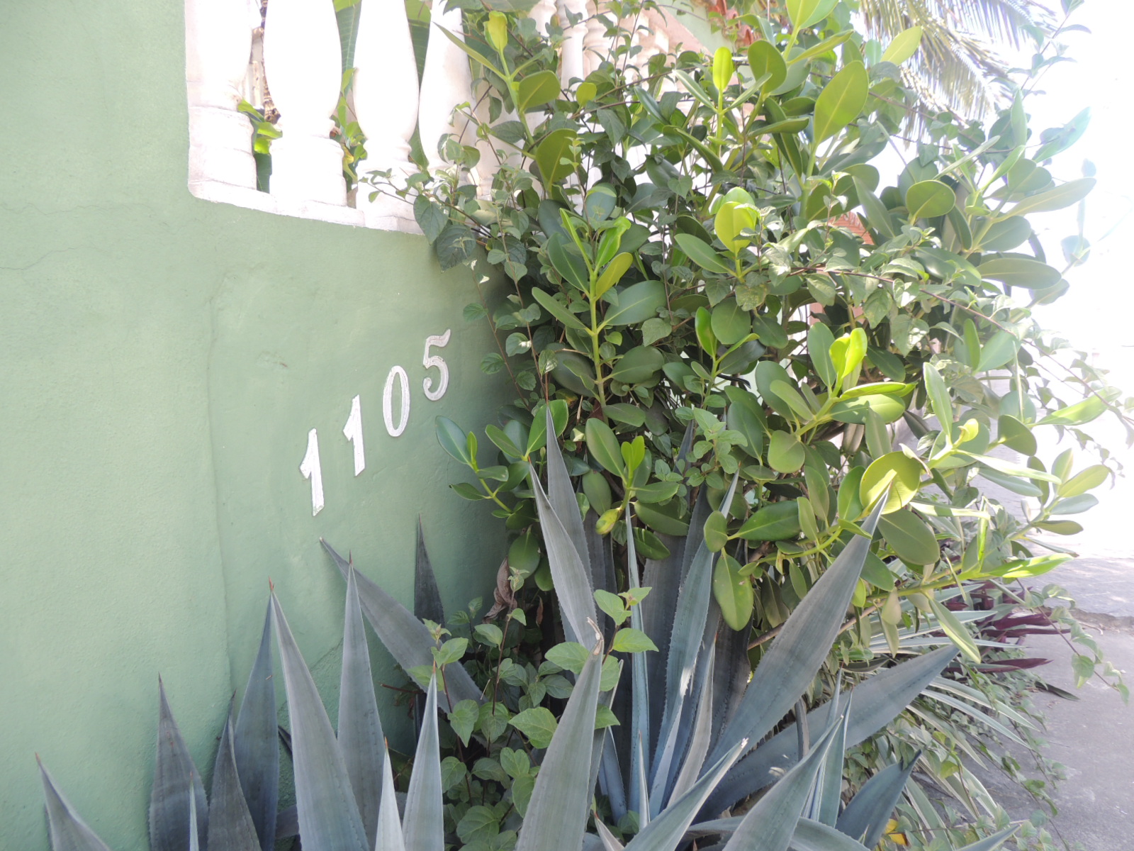 Vista Exterior Villa Mellancia