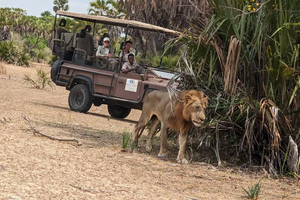 Actividad - Desde Zanzíbar: Safari en Mikumi con vuelos y almuerzo.
