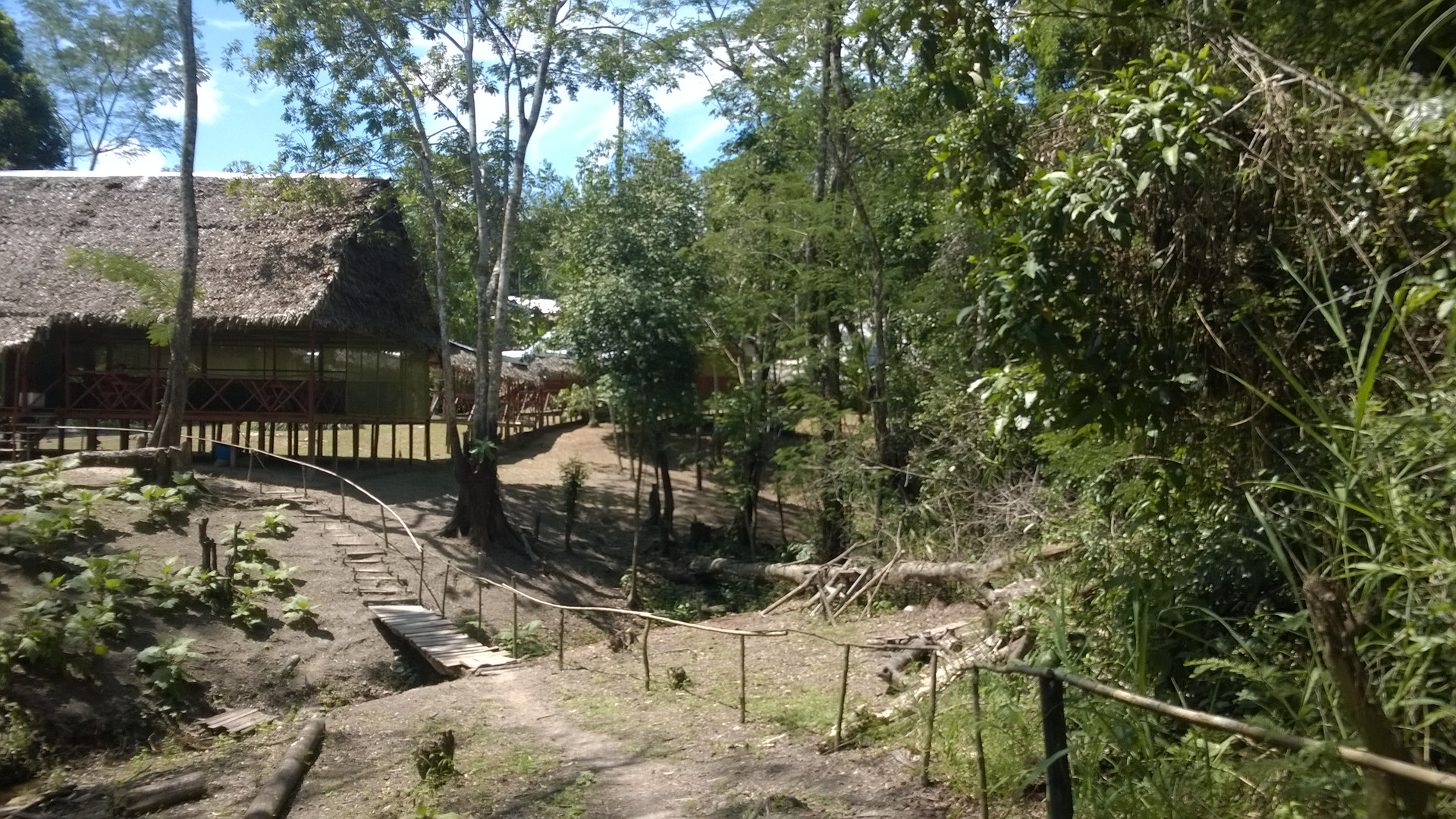 Vista Exterior Amazon Queen Lodge