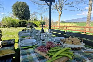 Alojamiento - Il Pino Bioagricoltura