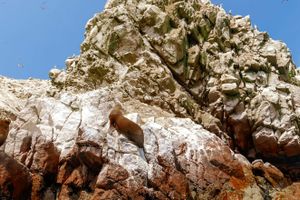 Actividad - Excursión a las islas Ballestas y Reserva Nacional de Paracas