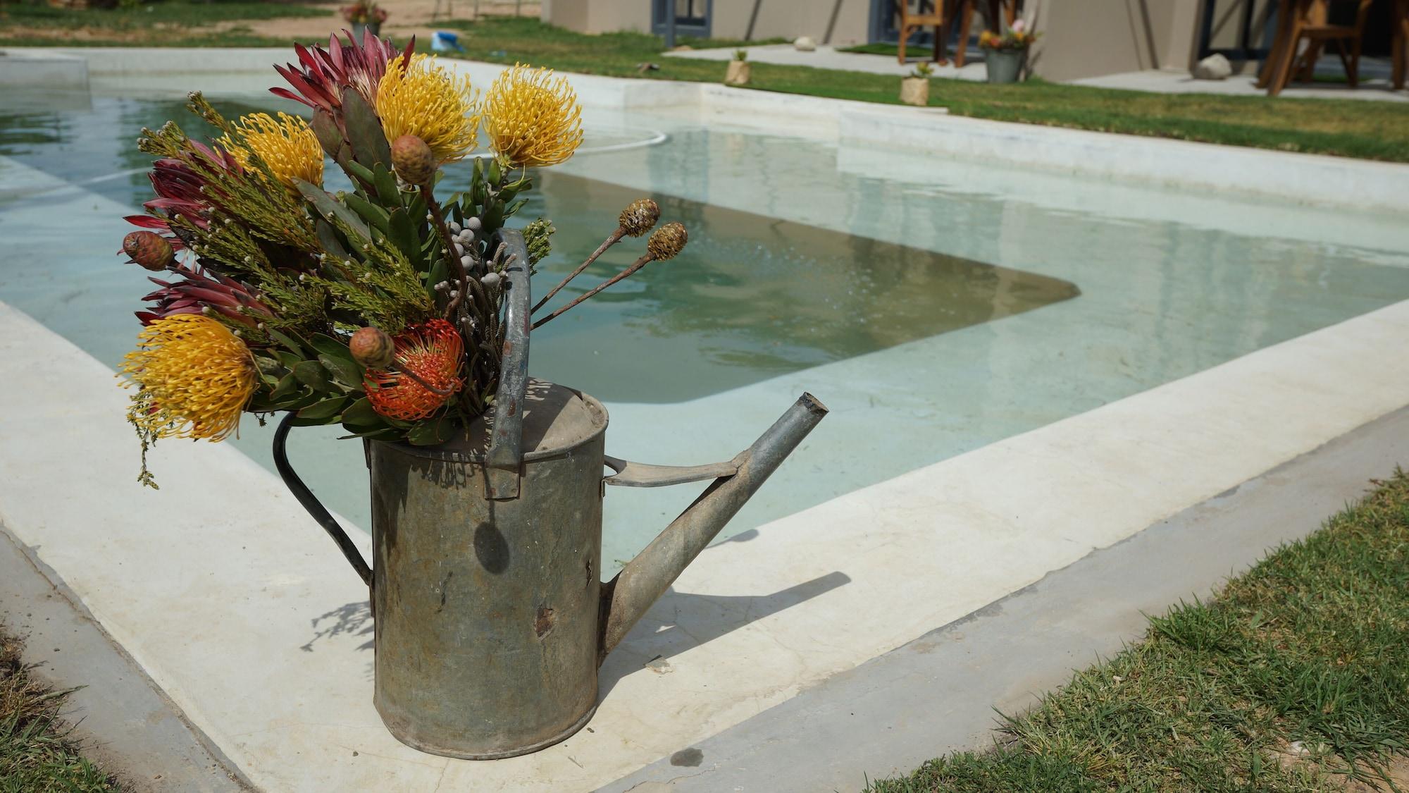 Vista Exterior Stellar Overberg Travellers Lodge