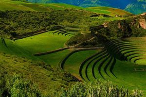 Actividad - Excursión a Moray y las salineras de Maras
