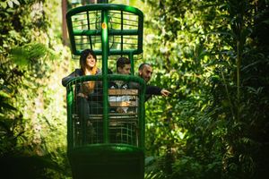 Actividad - Parque Rainforest Adventures Braulio Carrillo - Tour 6 en 1