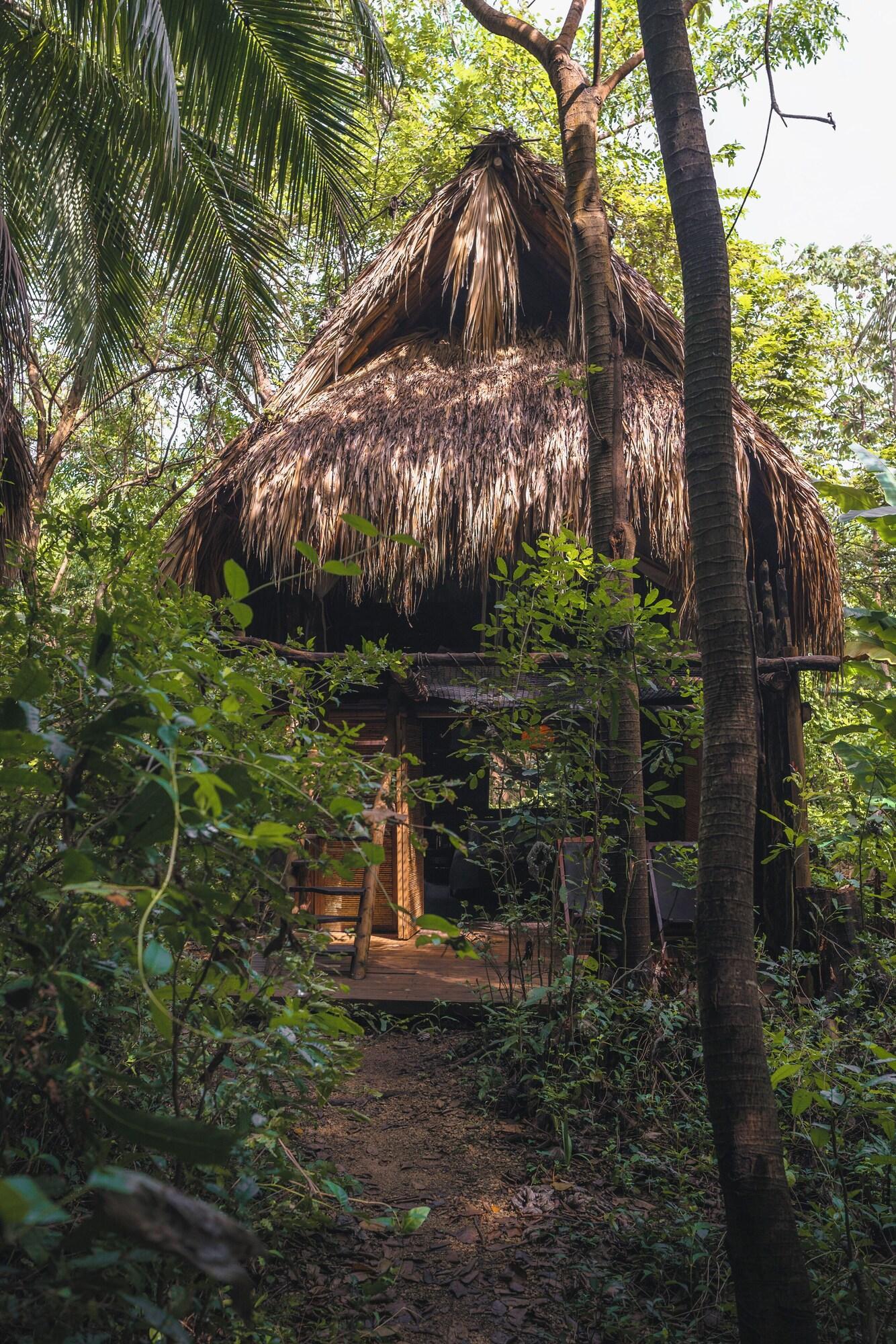 Vista Exterior Hotel Ecohouse