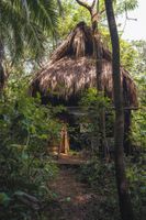 Alojamiento - Hotel Ecohouse