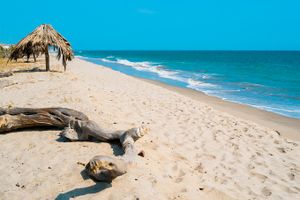 Paquete - Paquetes a Tumbes