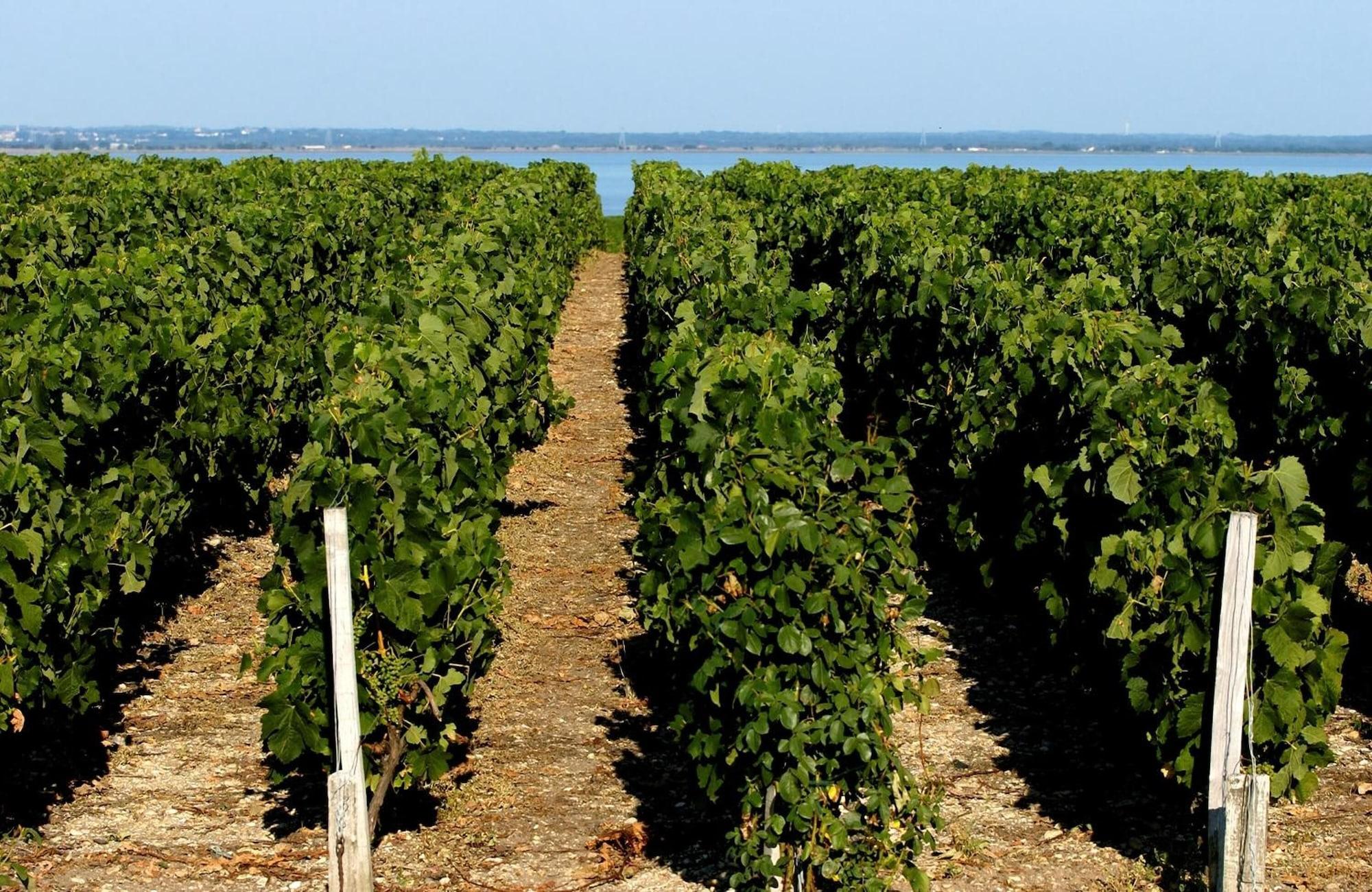 Comodidades del Alojamiento VVF Soulac-sur-Mer Bordeaux Médoc