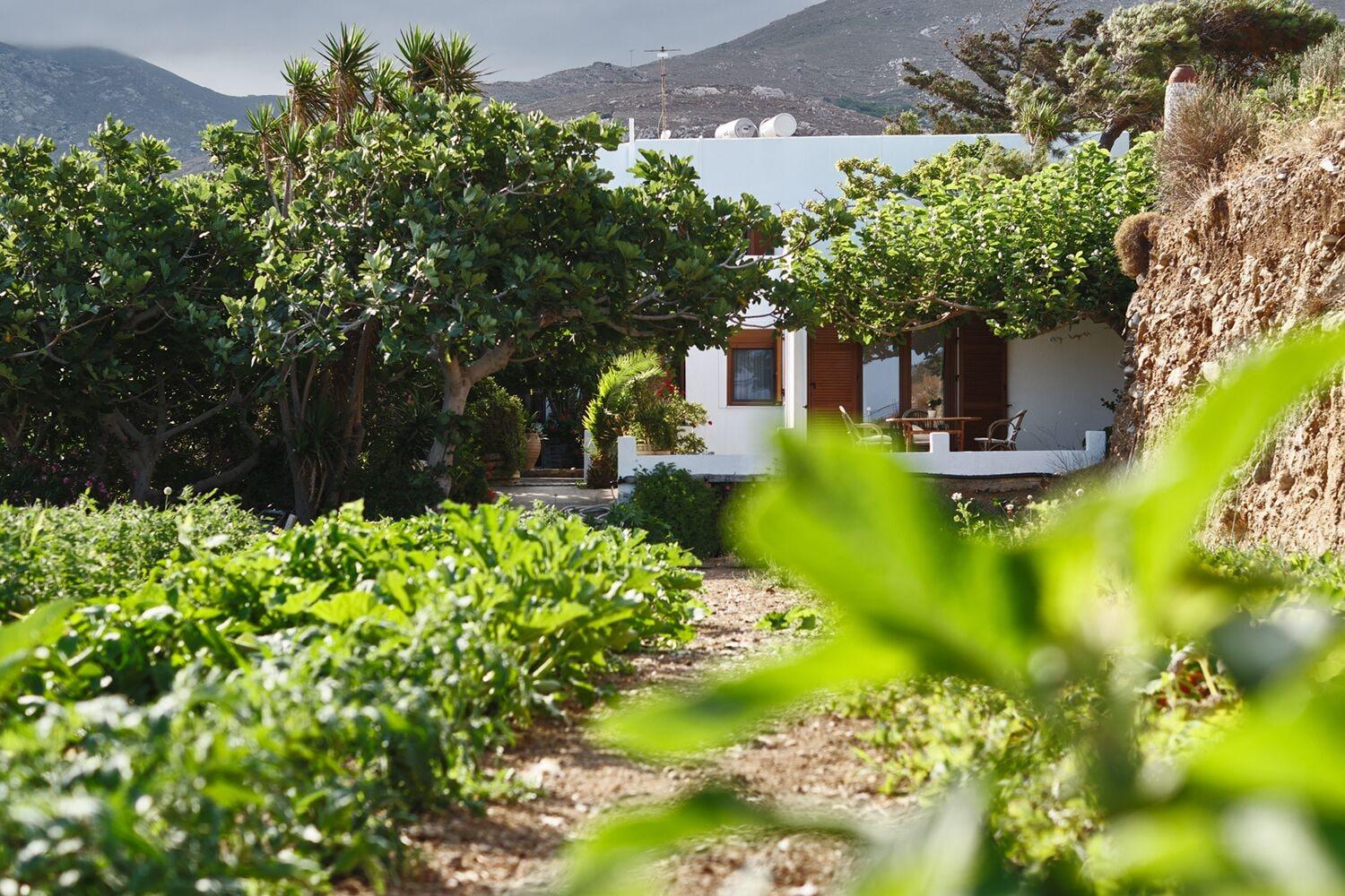 Vista Exterior Petrino