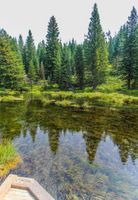 Alojamiento - Timbers at Island Park Village Resort