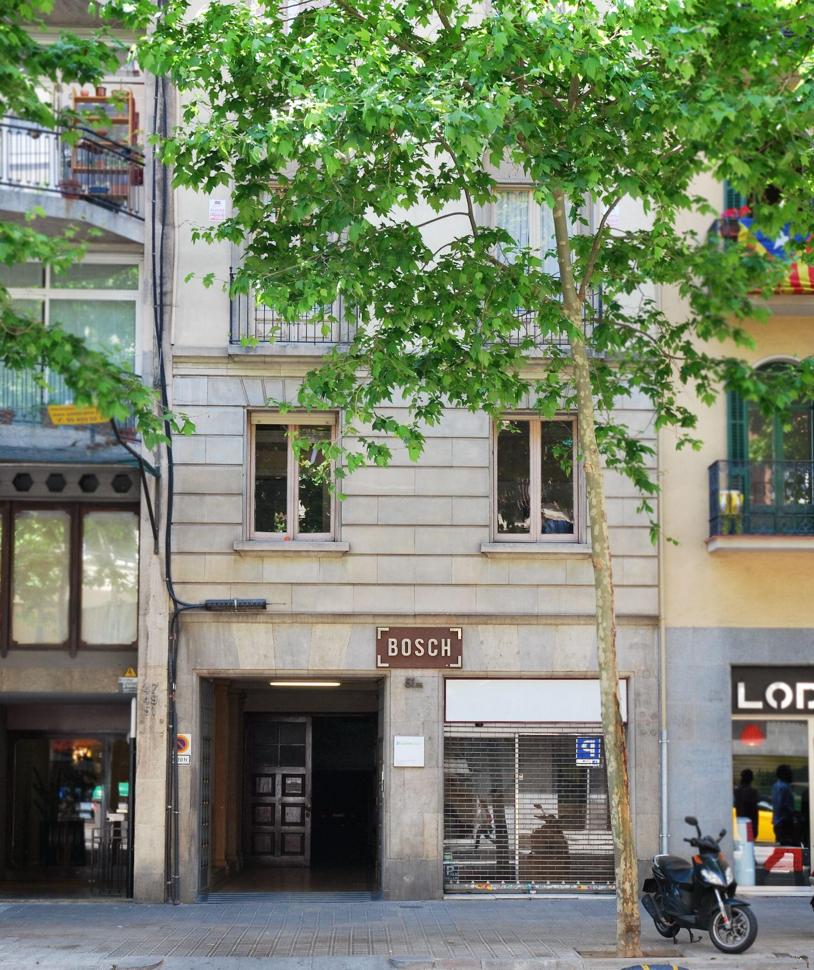 Vista Exterior BirdHouse