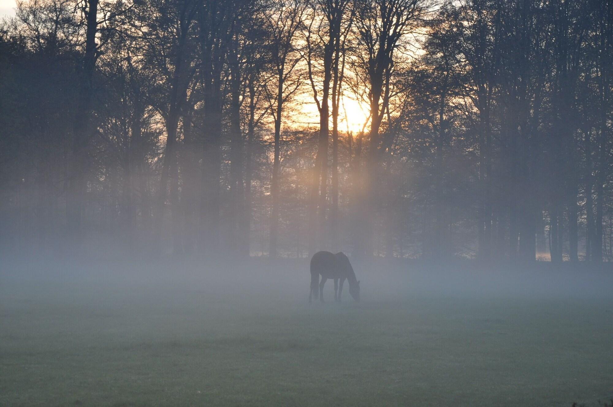 Instalaciones Recreativas Parc Broekhuizen