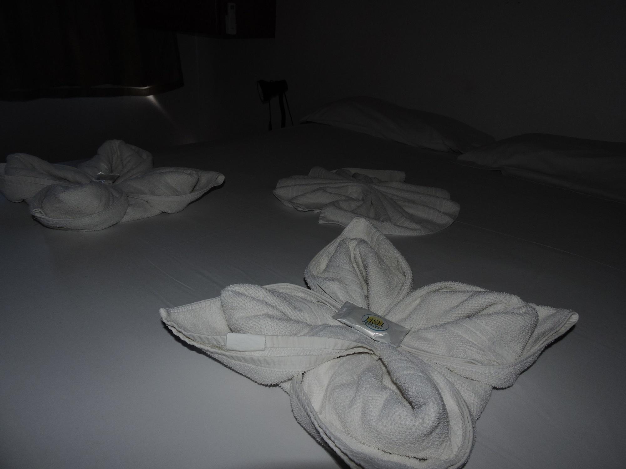 Habitación Hotel Dom Fish