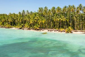 Actividad - Excursión a Cayo Zapatilla y Cayo Coral en barco