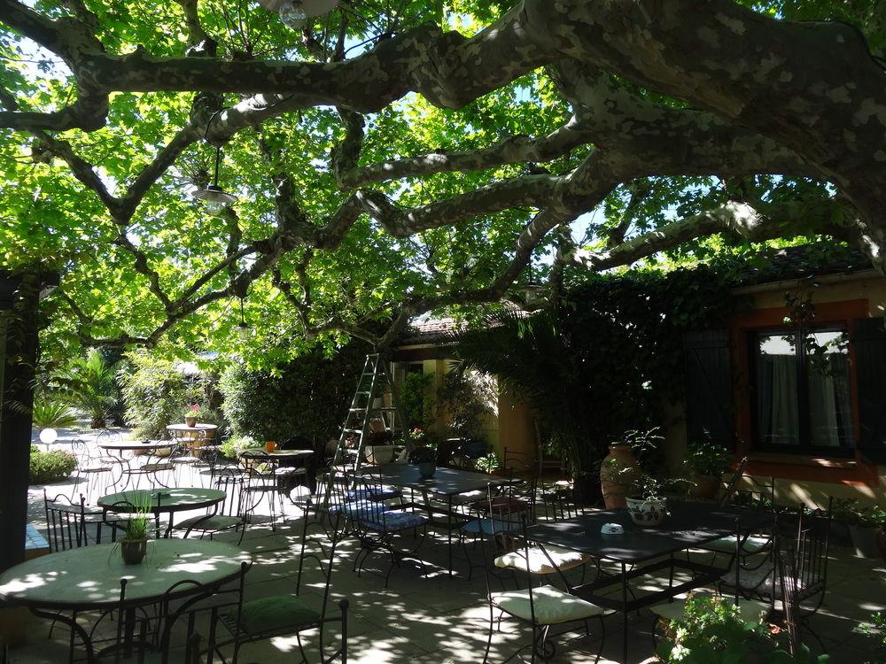 Varios Hôtel Beauséjour Les Palmiers