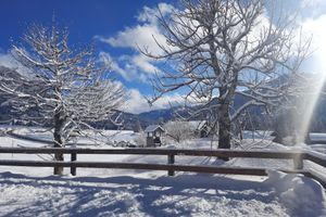 Alojamiento - Almhof Lässer